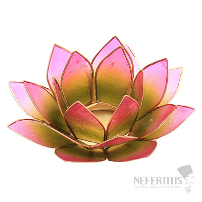 Grün-rosa Lotus-Kerzenhalter
