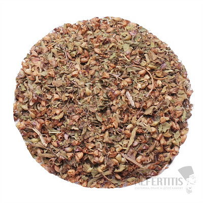 Tulasi sacred basil