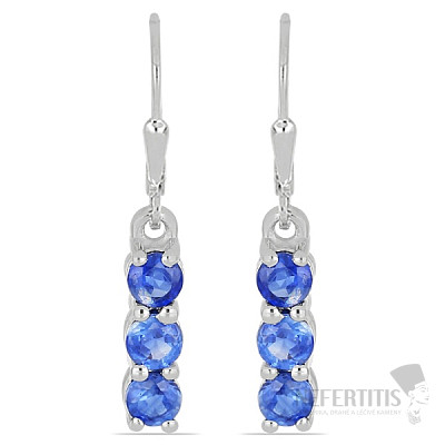 Silver earrings with cut blue kyanites Ag 925 014969 BK