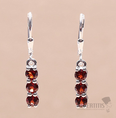 Silver earrings with cut garnets Ag 925 014969 GT