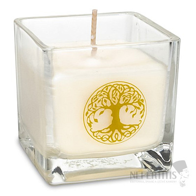 Tree of life scented candle in glass