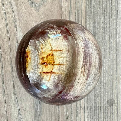 Petrified Wood Sphere Madagascar 21