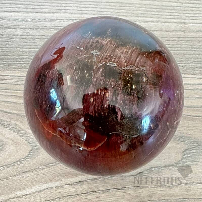 Petrified Wood Sphere Madagascar 25