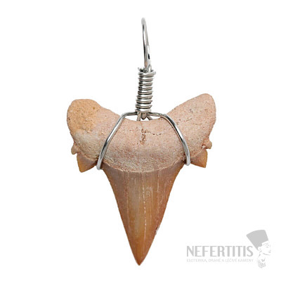 Shark tooth pendant