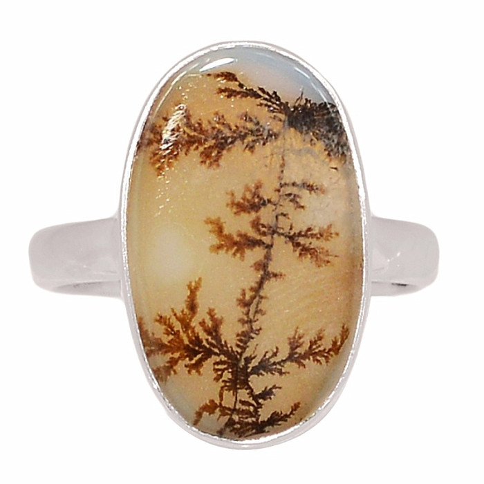 Achát dendritický prsten stříbro Ag 925 R2028 - 51 mm , 3,3 g