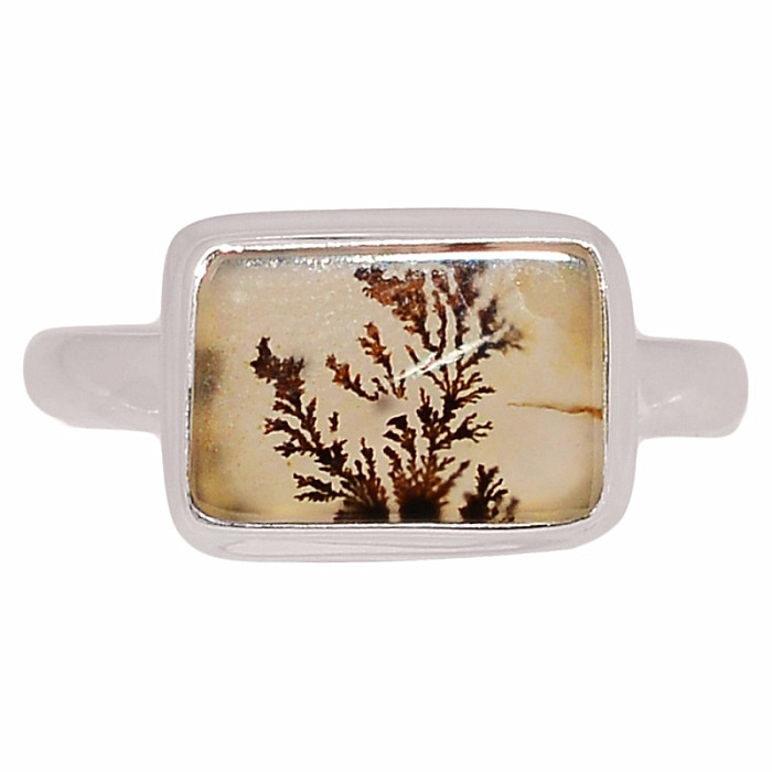 Achát dendritický prsten stříbro Ag 925 R2056 - 61 mm , 3,8 g