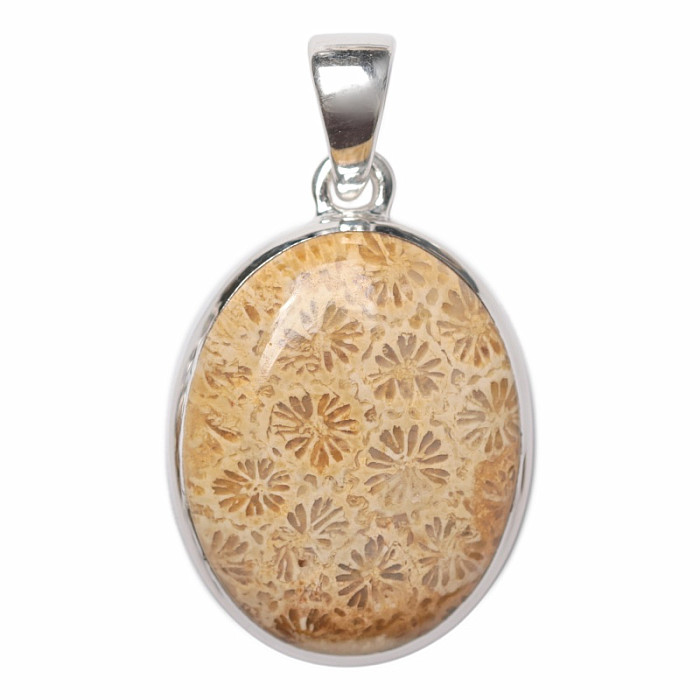 Korál fosilní indonéský přívěsek stříbro Ag 925 P463 - 2,6 cm, 7,3 g