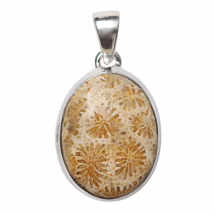 Korál fosilní indonéský přívěsek stříbro Ag 925 P472 - 2,4 cm, 6,2 g