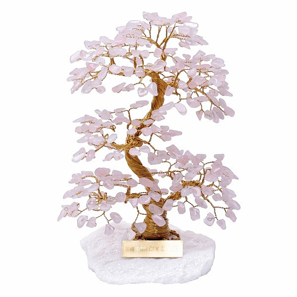 Levně Stromeček štěstí růženín A4 - cca 20 cm