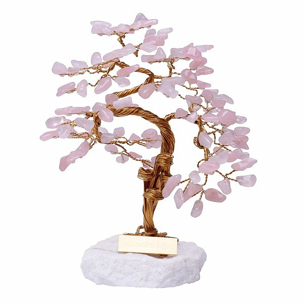 Levně Stromeček štěstí růženín B3 - cca 25 cm