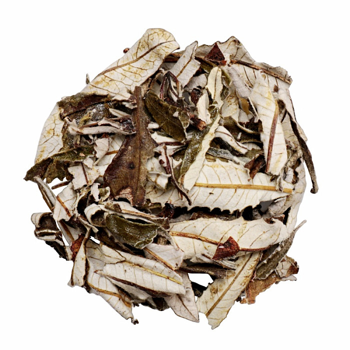 Yerba santa 20 g - 20 g