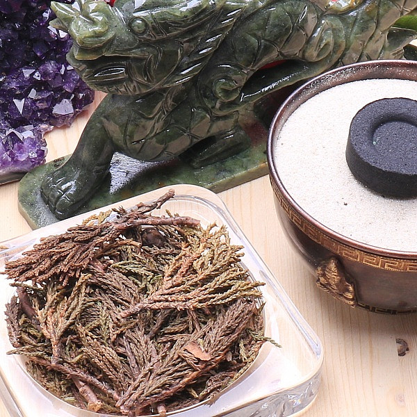 Jalovec himalájský - větvičky - 20 g