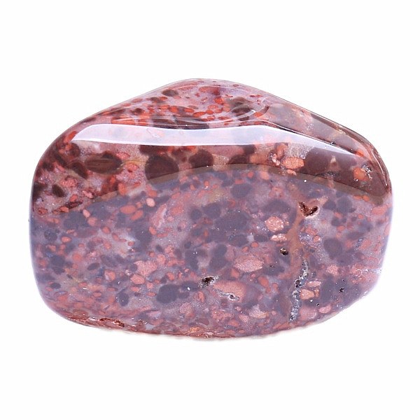 Jaspis leopard tromlovaný - L - cca 2,5 - 3 cm