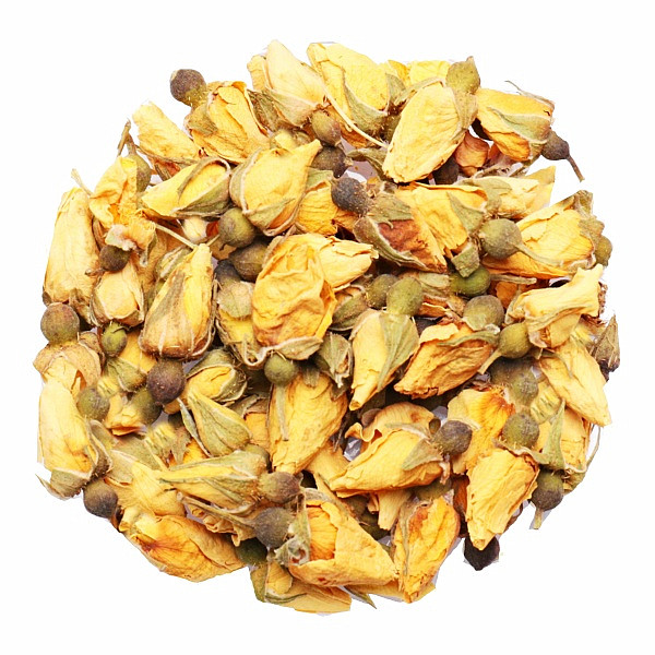 Levně Růže damašská žlutá - poupata - 20 g