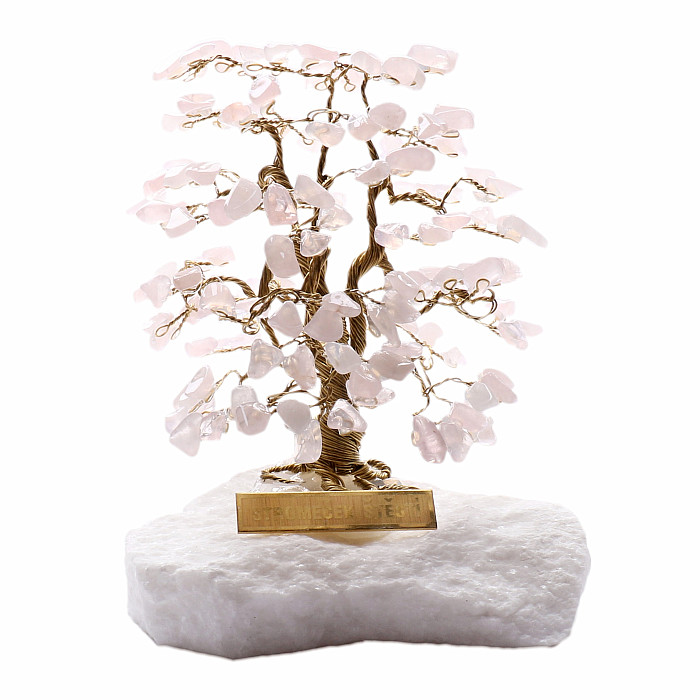 Levně Stromeček štěstí růženín A1 - cca 10 cm