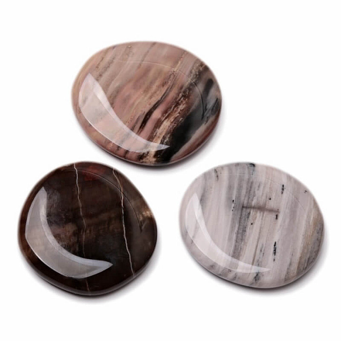 Levně Zkamenělé dřevo placička - cca 3 - 4 cm