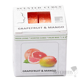 Duftwachs Grapefruit und Mango