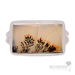 Achát dendritický prsten stříbro Ag 925 R2025