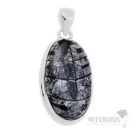 Orthoceras prívesok striebro Ag 925 31004