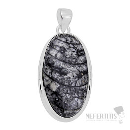 Orthoceras prívesok striebro Ag 925 31005