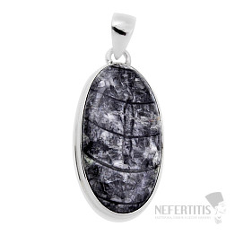 Orthoceras prívesok striebro Ag 925 31015