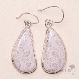 Fossile indonesische Koralle Ohrringe Silber Ag 925 KO348