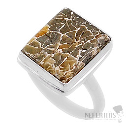 Koral petoskey stone prsteň striebro Ag 925 38127