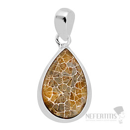 Coral petoskey stone pendant silver Ag 925 38142