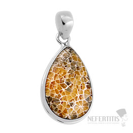 Coral petoskey stone pendant silver Ag 925 38154