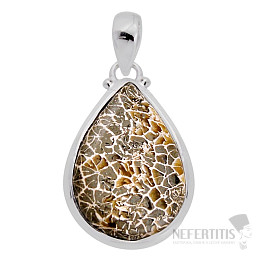 Coral petoskey stone pendant silver Ag 925 38163