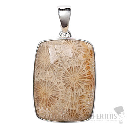 Koralle fossiler indonesischer Anhänger Silber Ag P456