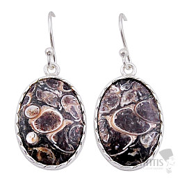 Turritella náušnice striebro Ag 925 53242