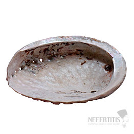 Polierte Räucherschale aus Abalone-Muschel M 12 bis 15 cm