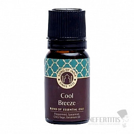 Cool Breeze směs esenciálních olejů Song of India 10 ml