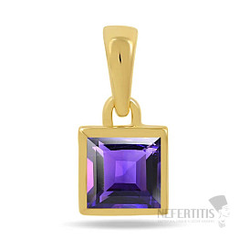 Silver gold-plated pendant with amethyst CB-P707G-A