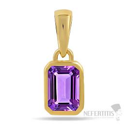 Silver gold-plated pendant with amethyst CB-P716G-A