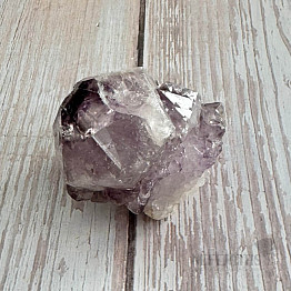 Amethyst-Kaktus-Druse JAR 13