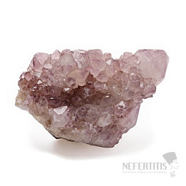Amethyst-Kaktus-Druse, Glas 20