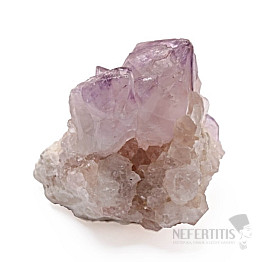 Amethyst-Kaktus-Druse JAR 17