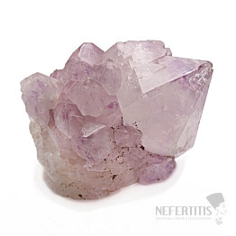 Amethyst-Kaktus-Druse JAR 18