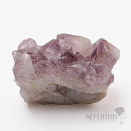 Amethyst-Kaktus-Druse JAR 22