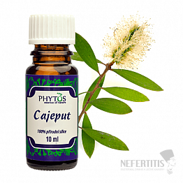 Phytos Cajeput 100 % ätherisches Öl 10 ml