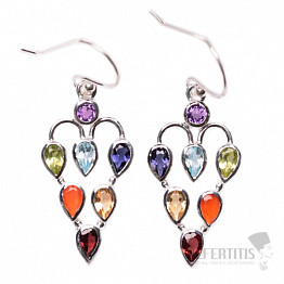 Chakra Earrings Grapes of Abundance Ag 925