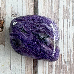 Charoit trommelte Siberia 30