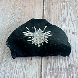 Chrysanthemenstein China 15