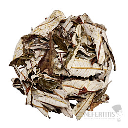 Yerba Santa 20 g
