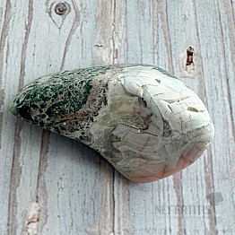 Getrommelter Korallenjaspis Frýdštejn 2