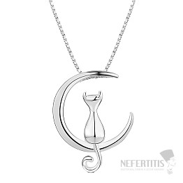 Silver rhodium-plated necklace KITTEN AND MOON