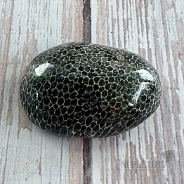 Schwarze getrommelte fossile Koralle Marokko 5