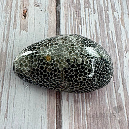 Schwarze getrommelte fossile Koralle Marokko 6